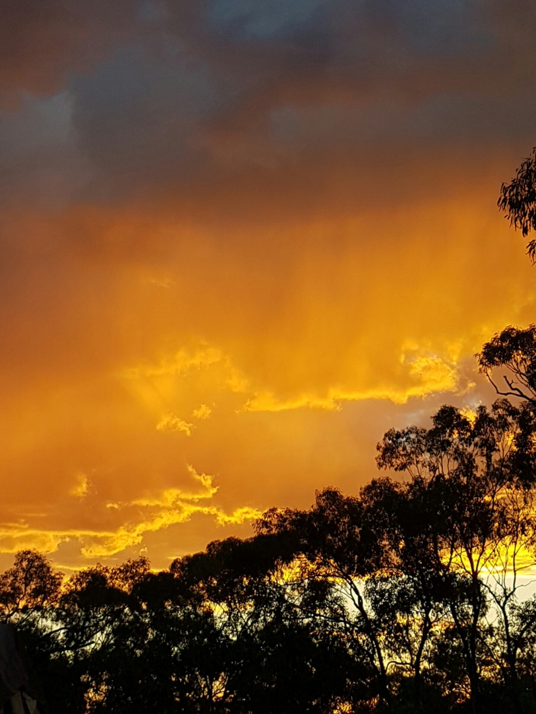 photostudio_1480582165715