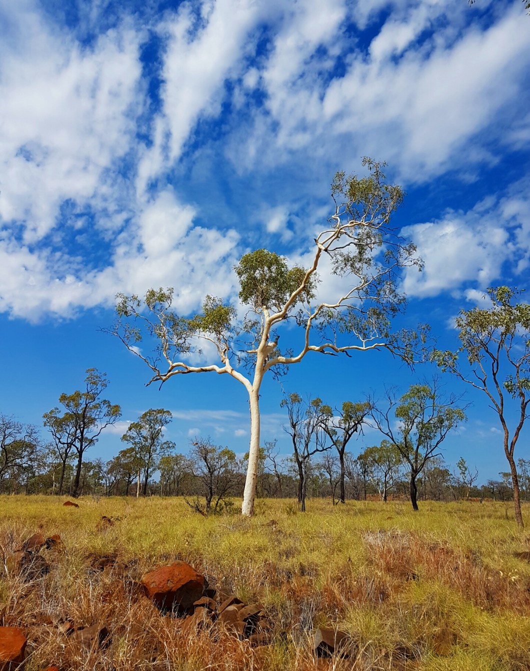 photostudio_1480680791067